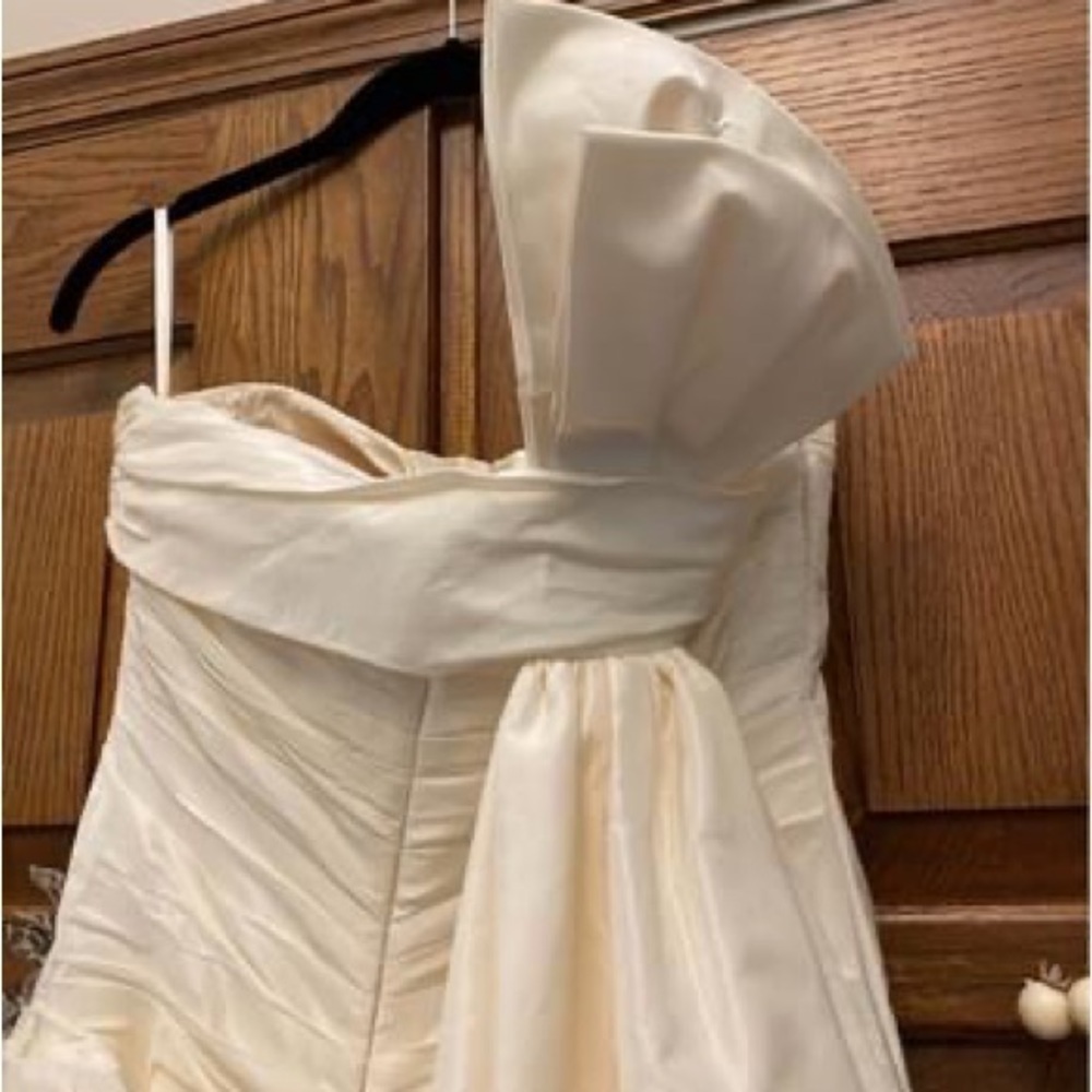 Romona Keveza Wedding Bridal Dress - Picture 6 of 9